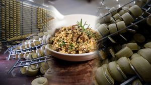 como se rescato el queso parmesano tras el terremoto